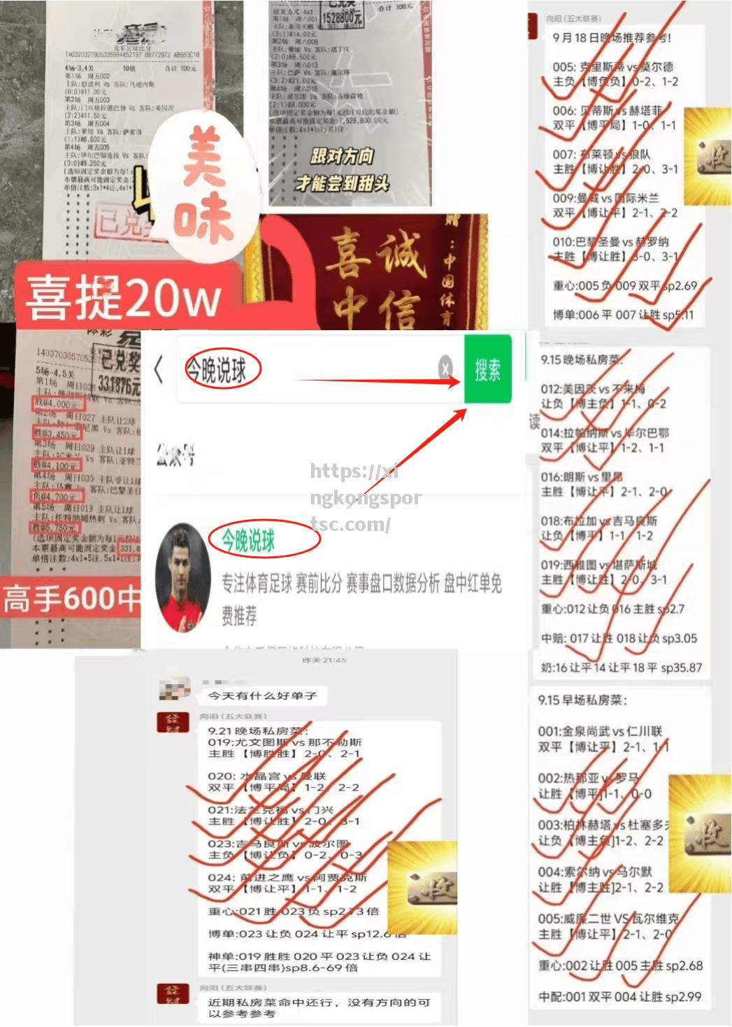 欧国联赛队伍备战关键，教练指导成绩考验